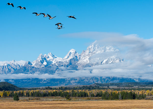 _REP8139-Edit-Edit.jpg