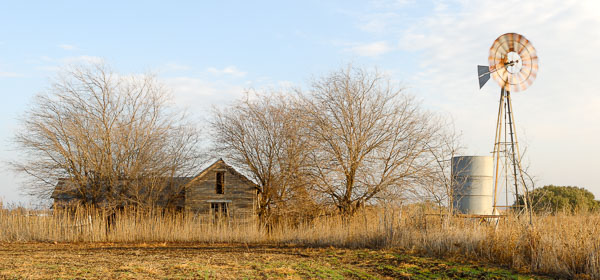 Forgotten  Farmhouse